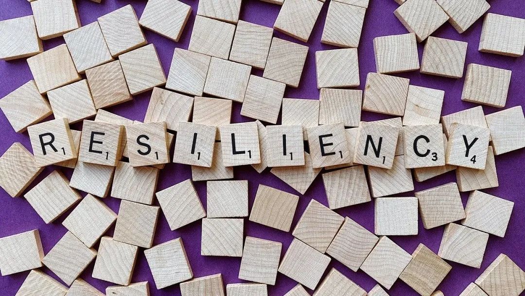 共享书韵芬芳！2025南国书香节珠海分会场暨珠海读书月启幕