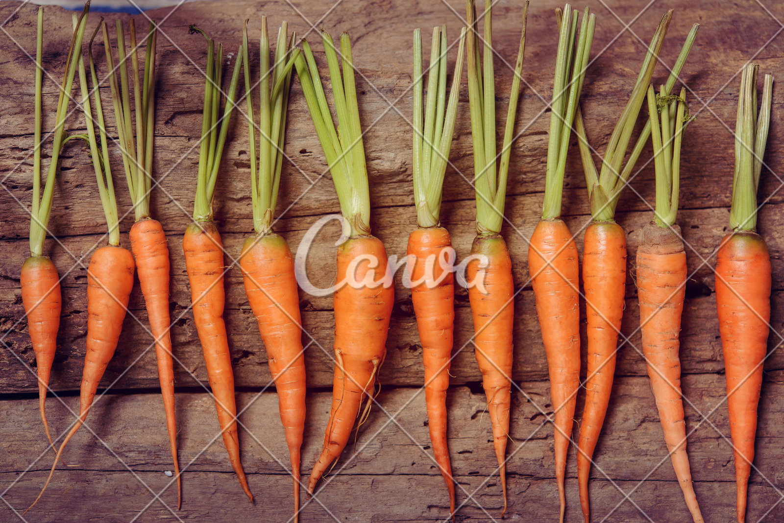 我市多部门联合开展高层建筑灭火救援实战化演练