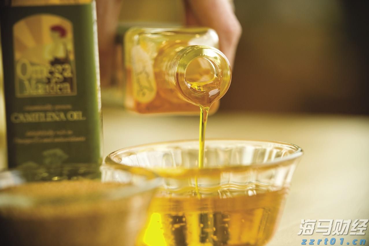 甘肃省首次获批国家知识产权局专利专项研究项目