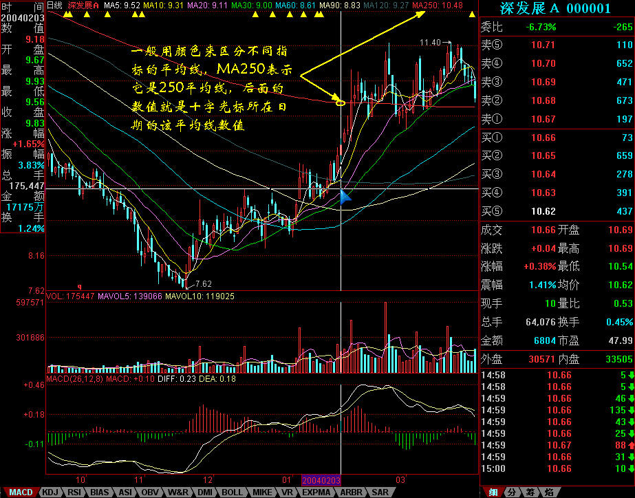 平南县举办健康跑活动