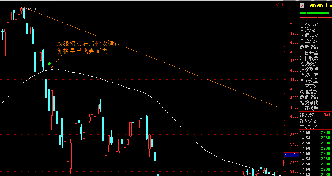 平南县举办健康跑活动