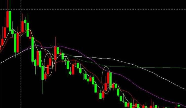 今年前7月肇庆外贸进出口超248亿元 增速居广东省首位