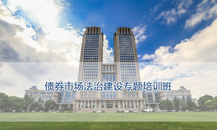 市区西环路狮岭桥危桥改造工程稳步推进