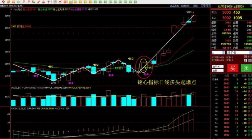 “直航＋免签”激活高尔夫入境游 福建成韩国球友新宠