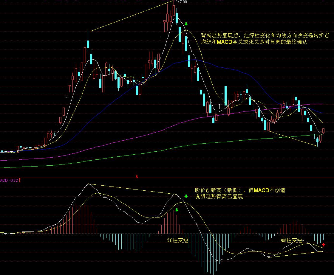 张家口市启动重大气象灾害(暴雨)四级应急响应