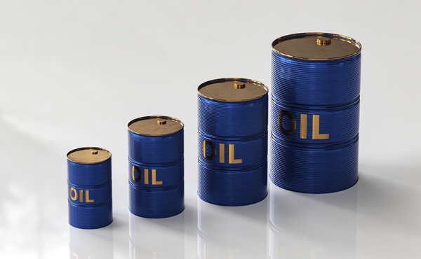 S308线两项公路改建工程开工