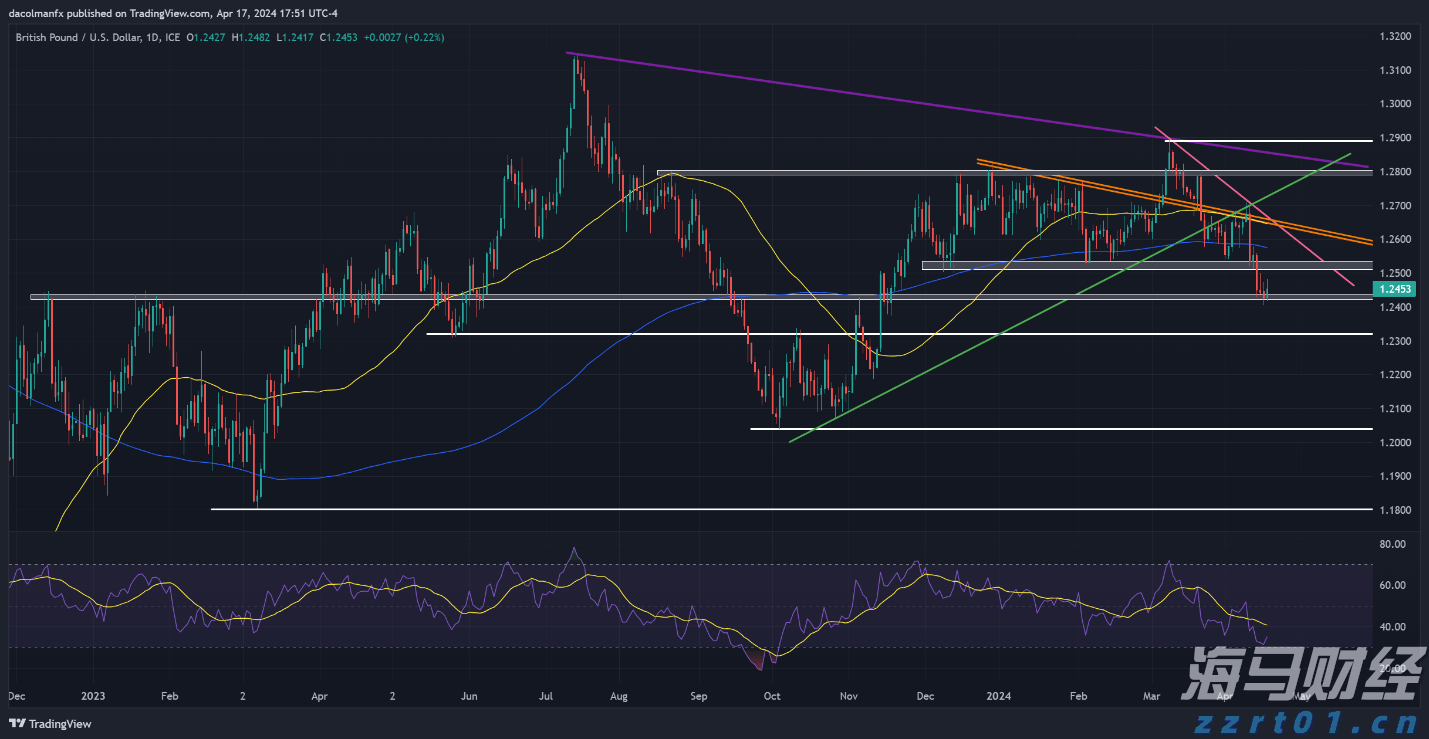 浔郁春光好 田间育苗忙