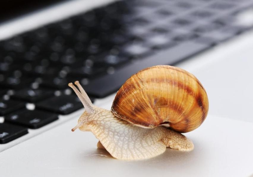 医我看丨白露至 咳嗽高发！润肺养生正当时