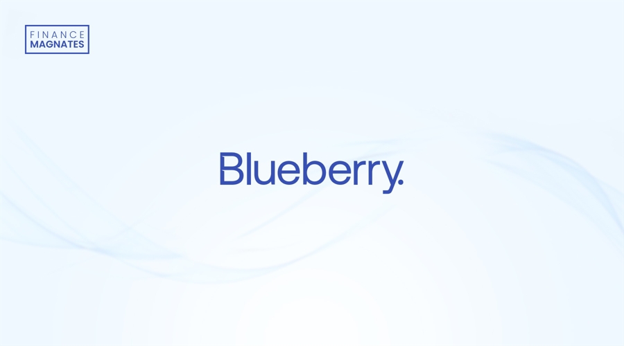 优服务强支撑  湛江市构建“近悦远来”人才生态