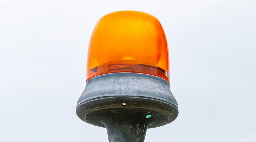 市领导到港北区开展乡村振兴调研等活动